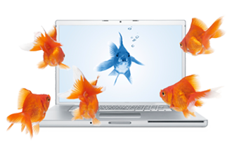 We help plan, create, and manage digital communications – websites, e-newsletters, social media.