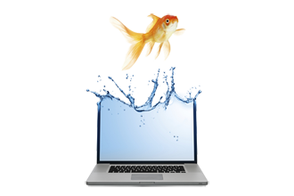 We create and teach effective digital content that spurs people to take action.